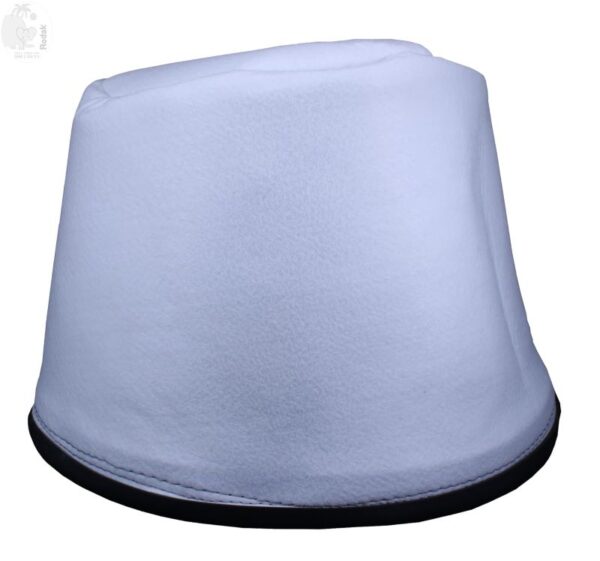 VCS BUCKET FILTER Compatible FOR Eureka Forbes Wet And Dry Vacuum Cleaner, WD Blue And White - Image 6
